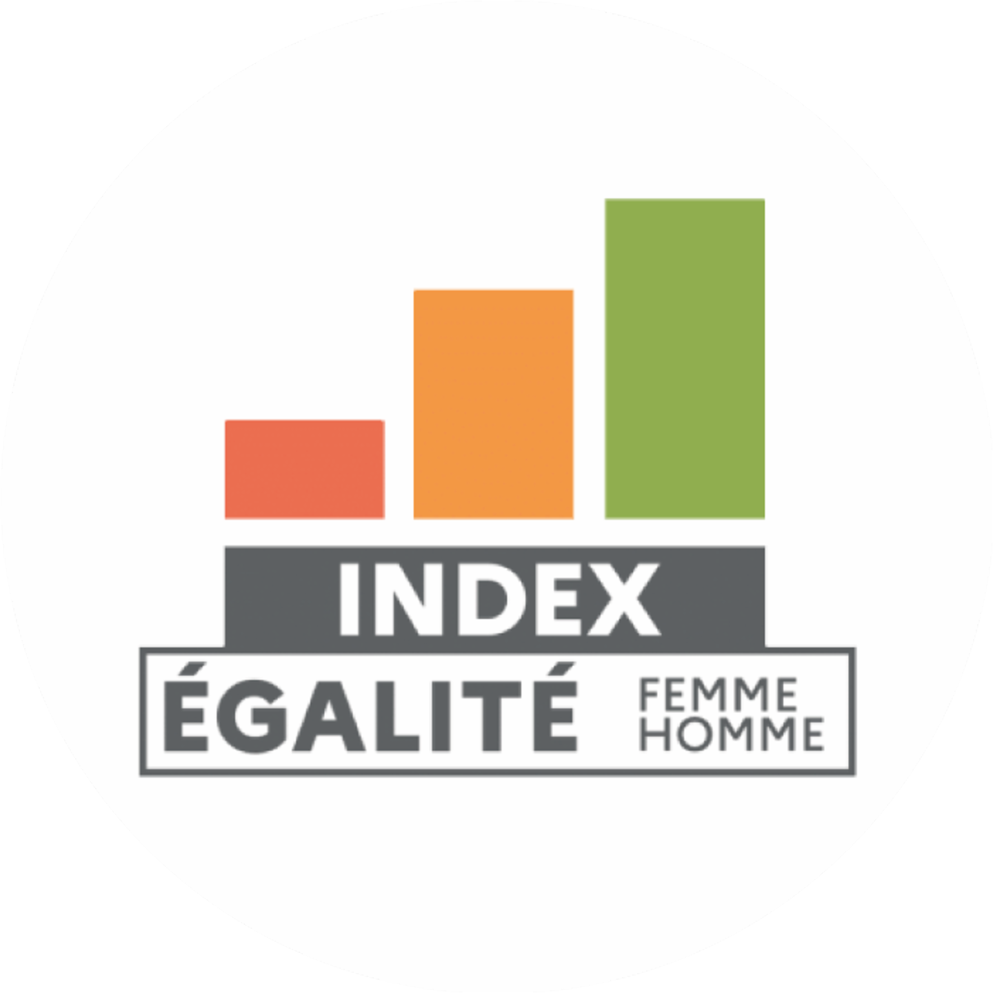 Logo Index Egalité Professionnelle Femmes Hommes<br/>